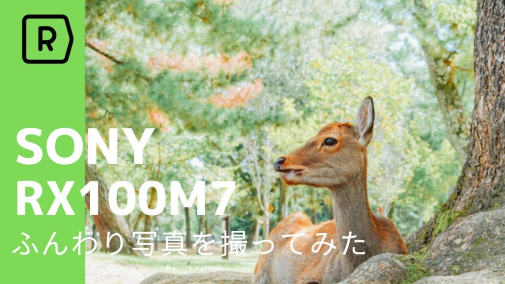【作例】ソニーの最新コンデジRX100M7をレンタルして！古都奈良をふんわり写真で秋さんぽ